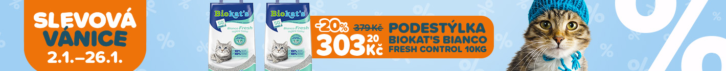 Povánoční výprodej pro kočky